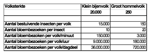 Volksterkte